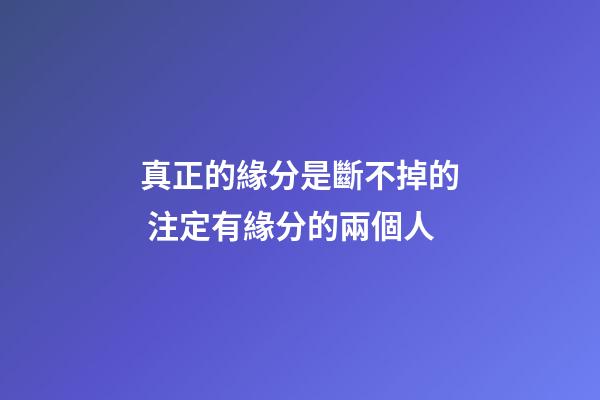 真正的緣分是斷不掉的 注定有緣分的兩個人